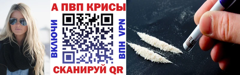 KRAKEN маркетплейс Жиздра А ПВП СК КРИС