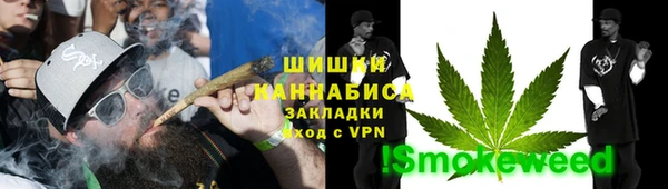 прущие грибы Верхний Тагил