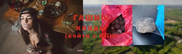прущие грибы Верхний Тагил