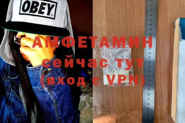 прущие грибы Верхний Тагил