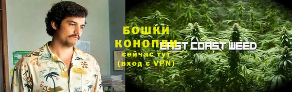 прущие грибы Верхний Тагил