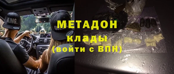 прущие грибы Верхний Тагил