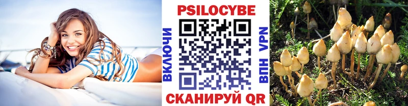 цены наркотик  Жиздра  Псилоцибиновые грибы ЛСД 